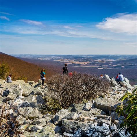 Hawk mountain - Hawk Mountain, believed to be the world’s first refuge for birds of prey, is a testament to Edge’s passion for birds—and to her enthusiasm for challenging the conservation establishment.
